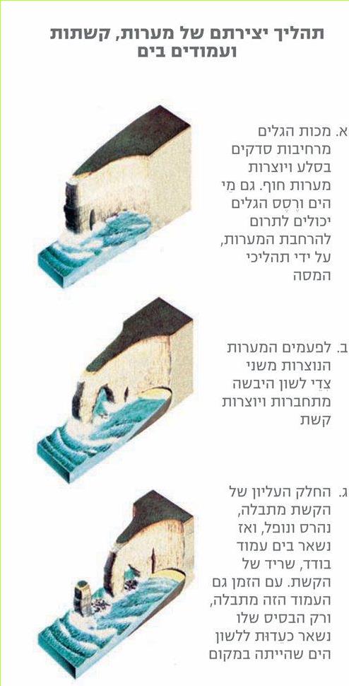 תהליך יצירתם של מערות, קשתות ועמודים בים